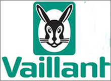 Vaillant Air Pressure Switches